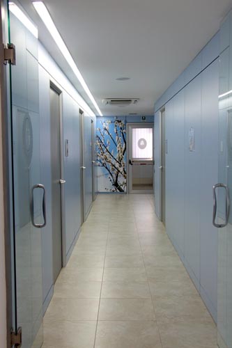 Ambulanze, autovetture, autofunebre per servizi sociali a Camucia Cortona