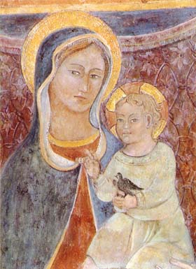 Foto e immagini dei servizi forniti dalla Misericordia di Camucia-Calcinaio